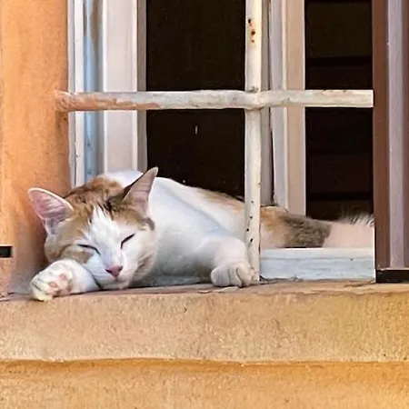 Depandance Cascina Vicentini * Alfiano Natta