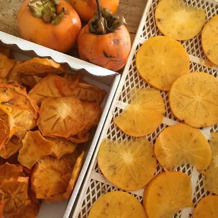 Depandance Cascina Vicentini